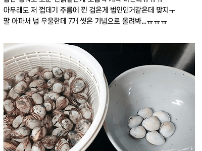 꼬막 세척 레전드