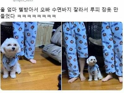 오빠 수면바지 잘라서 만듬