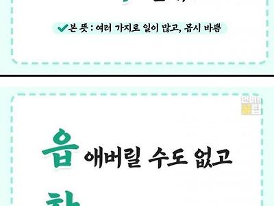 사자성어 직장인 버전
