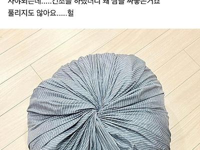인기 많은 건조기 만두.