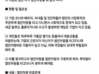 '법인용 차량 번호판 색깔' 정책 낸 일반인