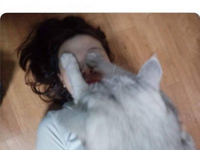 꾹꾹이를 잘못 배운 고양이