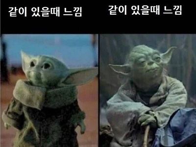 요즘 30대 특)