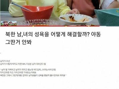 탈북녀가 말하는 북한 ㅅㅅ