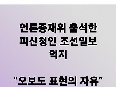 흔한 조선일보의 표현의 자유