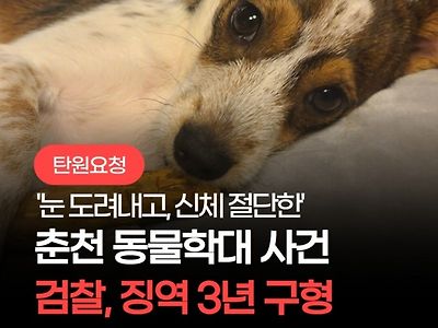 유기견 입양해서 상습폭행, 동물보호법 최고형 구형했다네요