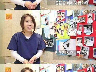 미모의 수의사가 말하는 동물 유기범들의 특징