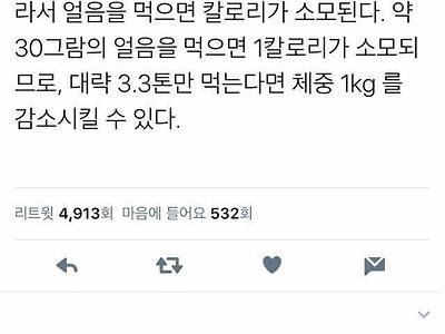 얼음으로 다이어트 하는법