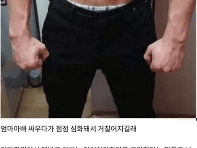 디씨인의 부모님 부부싸움 말리는 법