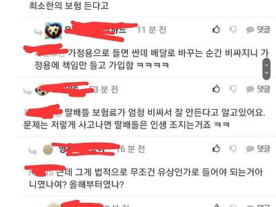 딸배들은 정말 보험가입을 착실하게 할까?