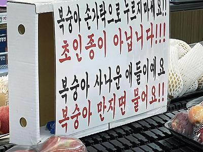 복숭아 만지지 마세요!!!