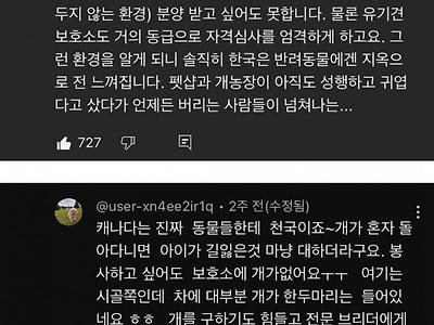 캐나다에서 우리나라 유기견 입양을 많이 하는 이유