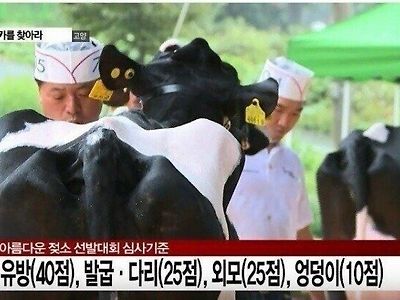 유방 40점, 다리 25점, 외모 25점, 엉덩이 10점