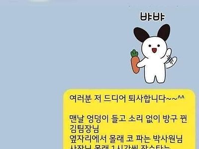 퇴사할때 할말은 하고 가는 여자