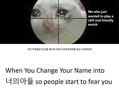 서양의 한국 게이머 밈
