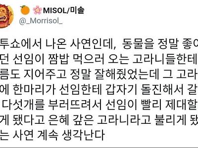 동물좋아하는 선임의 최후