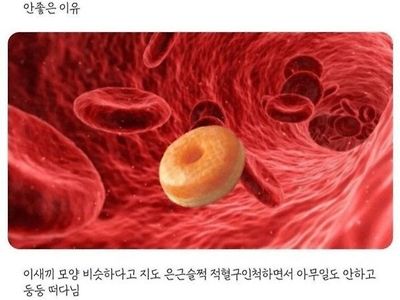 도넛이 몸에 안좋은 과학적인 이유