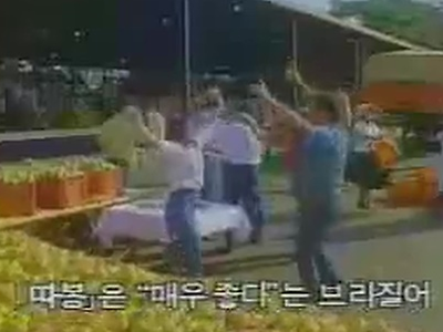 식민지에게 문화패배당한 본국