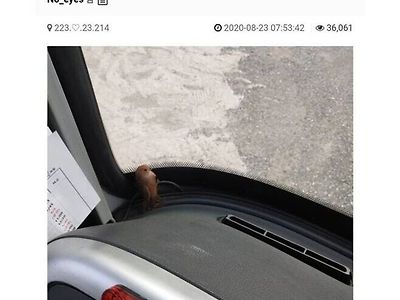 시내버스 기삽니다. 진상손님 탔네요