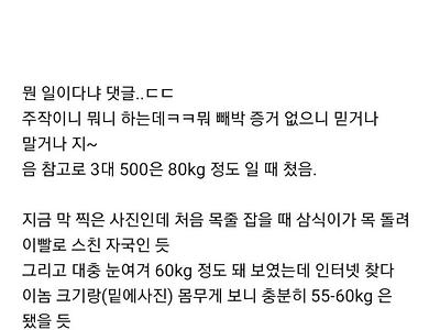 시골에서 도사견이랑 맞짱뜬 썰