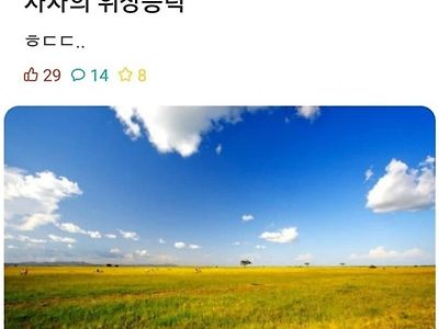 사자의 위장능력