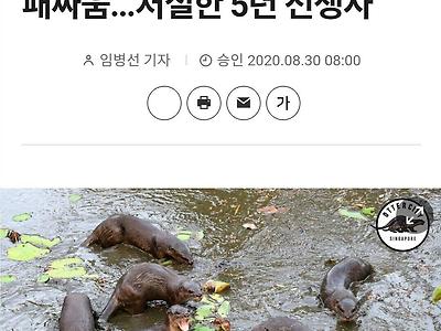 수달 패싸움 본적 있음?
