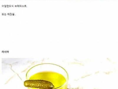 세계 각국 숙취해소 음식