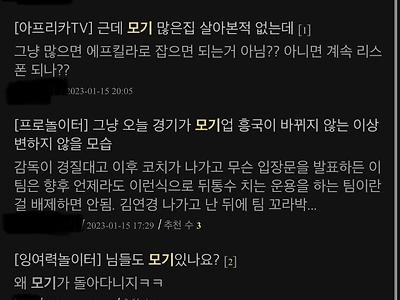 22-23 시즌 모기 오피셜 쿨타임