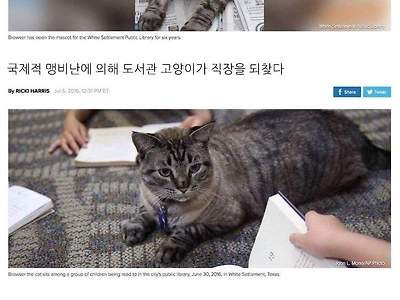 공무원 vs 고양이