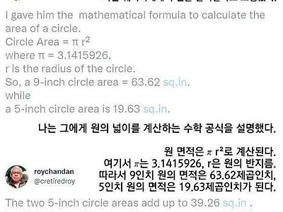 9인치 피자를 시켰는데 5인치 짜리 피자 두판을 받은 손님 ㄷㄷ