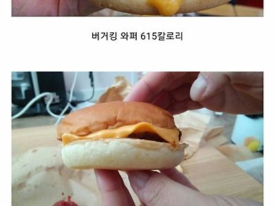 버거킹 vs 롯데리아 칼로리 비교
