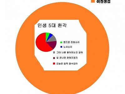 인생 6대 환각