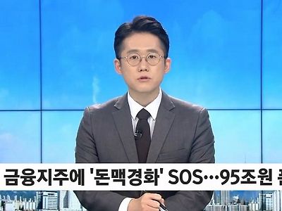 정부 간청에 결국 95조 투입하기로 한 5대 금융지주