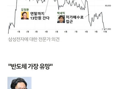 지금 난리난 삼성전자 전문가 발언 모음