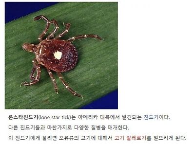 물리면 ㅈ되는 야외 진드기