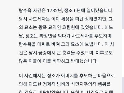 정조의 아버지를 향한 효심.jpg