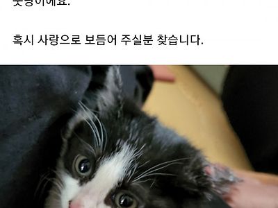 포획생물을 판매하는 현대판 사냥꾼