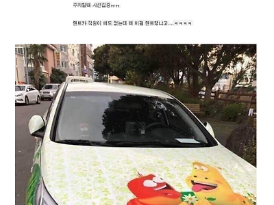 제주도 렌트카 대참사