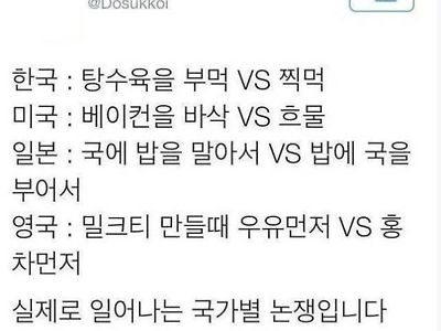 찍먹 vs 부먹 해외버전