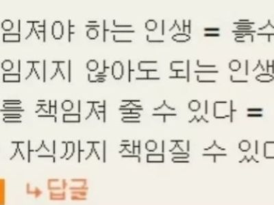 수저론에 대한 댓글