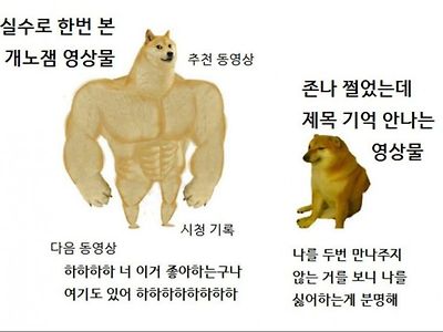 유튜브 알고리즘 특징