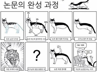 논문의 완성 과정