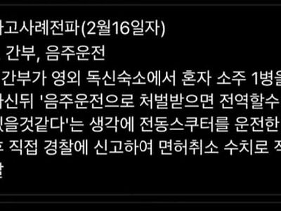 보다보면 웃프기 짝이없는 음주운전 사유