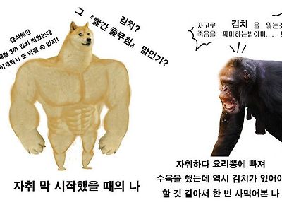 자취 중 김치에 대한 태도 변화