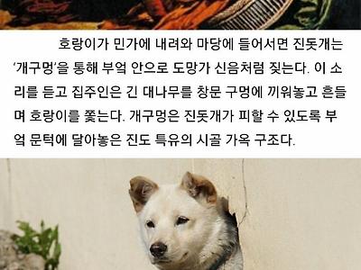 개구멍의 유래