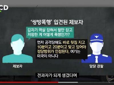 쌍방 폭행 입건 레전드