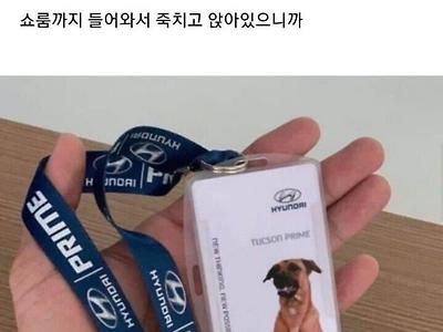태국 현대차 인기 사원 ㄷㄷ