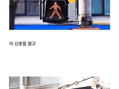 자주 다녀서 익숙한 동네 횡단보도 특징