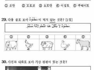 아랍어를 선택하는 이유