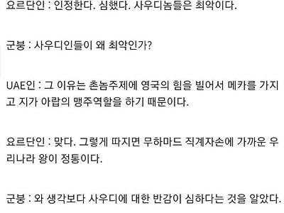 중동사람이 알려주는 아랍계열들의 지역감정 논쟁.jpg